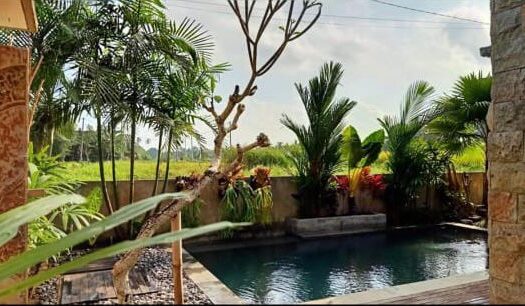 villa ubud with private pool