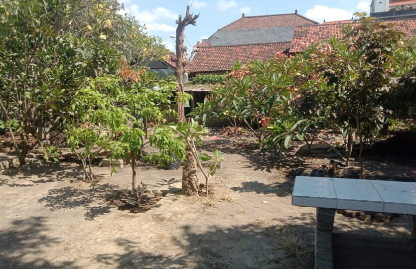 Dijual tanah Lokasi gg pucuk sedap malam