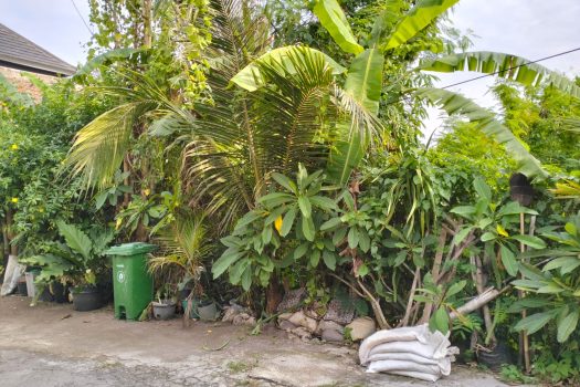 dijual murah tanah 2,67 m2 harga per are 315jt nego di denpasar