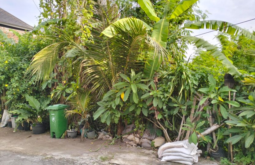 dijual murah tanah 2,67 m2 harga per are 315jt nego di denpasar