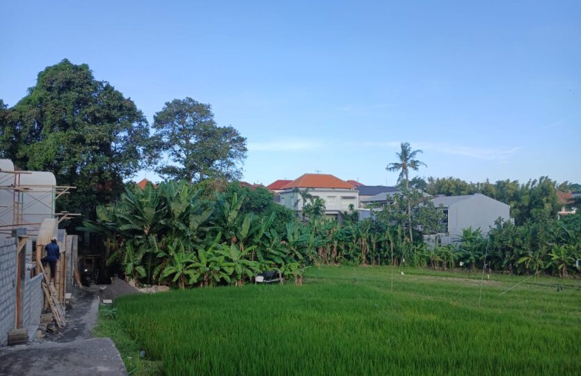 Umalas 2BR 2 BT villas