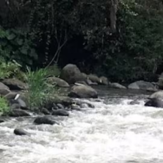 Tanah los sungai ayung