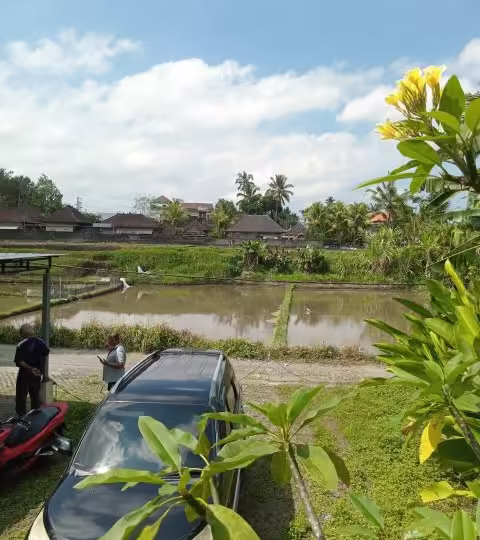tanah view sawah ubud